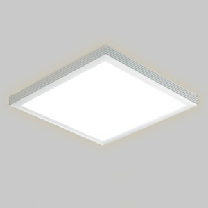 LED 투톤 라인 방등(60W)