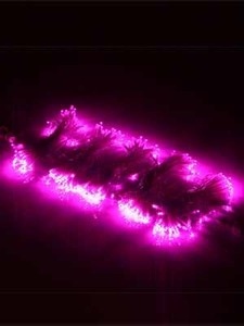 LED 체리 300등 (투명 전기선) - 핑크색불