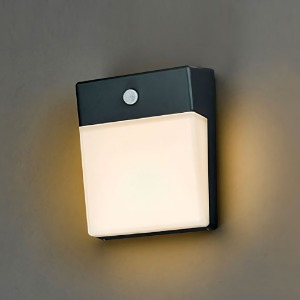 LED 샤몬 센서벽등(11W)