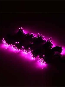 LED 체리 300등 (검정색 전기선) - 핑크색